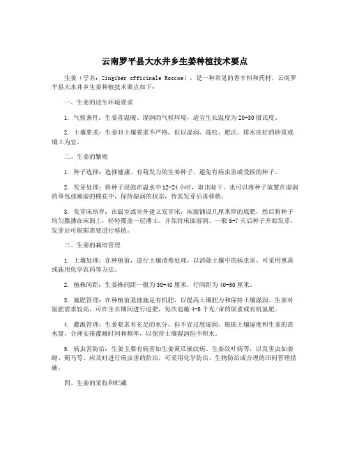云南罗平县大水井乡生姜种植技术要点