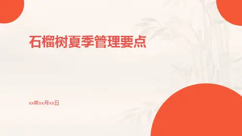 石榴树夏季管理要点