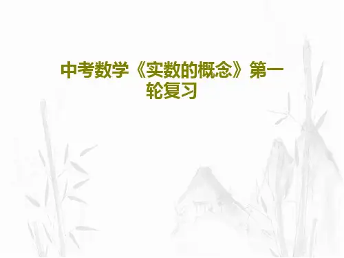 中考数学《实数的概念》第一轮复习PPT文档22页