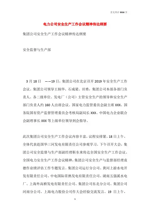 电力公司安全生产工作会议精神传达纲要