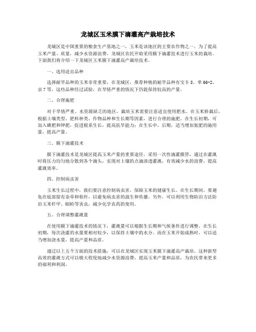 龙城区玉米膜下滴灌高产栽培技术