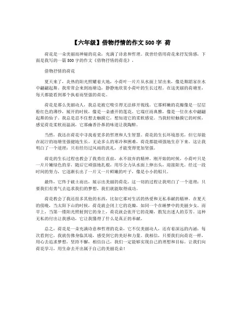 【六年级】借物抒情的作文500字 荷