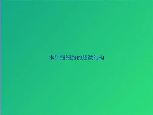 本肿瘤细胞的超微结构(共66张)