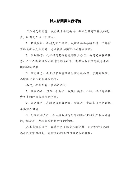 村支部团员自我评价