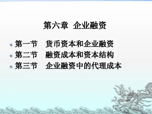 《企业融资》PPT课件 (2)