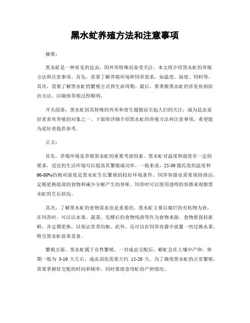 黑水虻养殖方法和注意事项