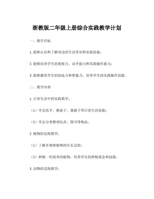 浙教版二年级上册综合实践教学计划