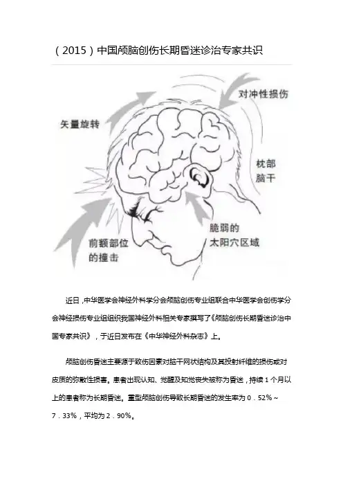 (2015)中国颅脑创伤长期昏迷诊治专家共识