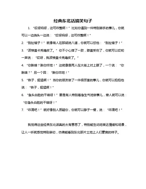 经典东北话搞笑句子