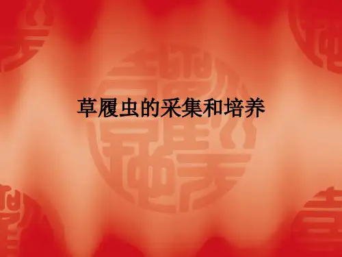 草履虫的采集和培养