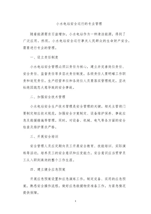 小水电站安全运行的专业管理