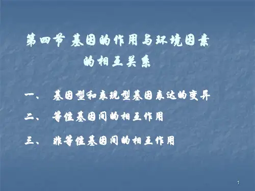 孟德尔遗传ppt课件