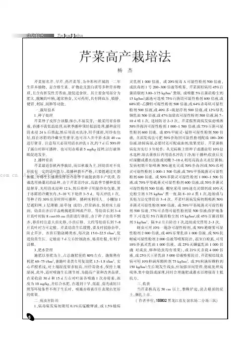 芹菜高产栽培法