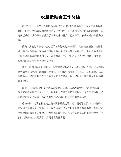 农耕运动会工作总结