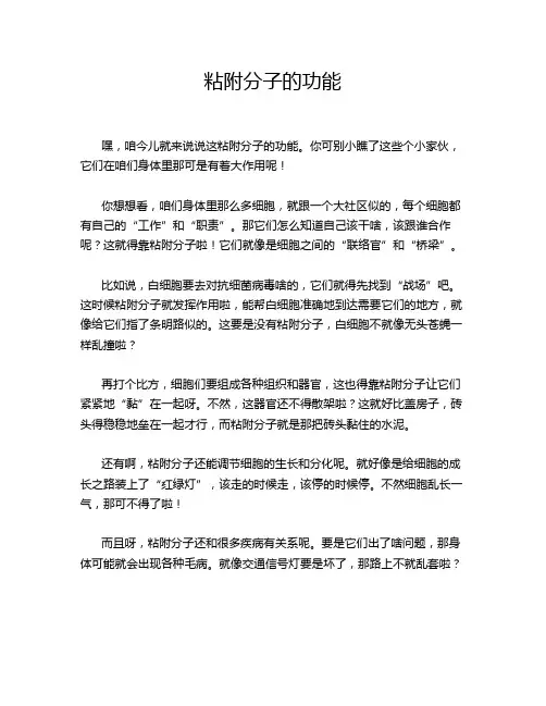 粘附分子的功能