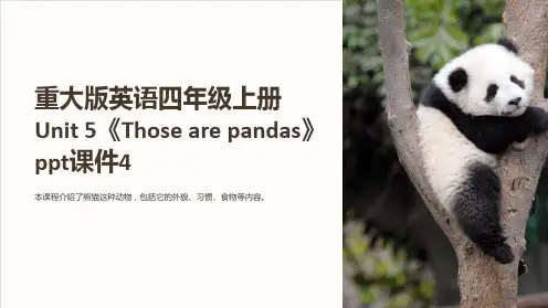 重大版英语四年级上册Unit 5《Those are pandas》课件4