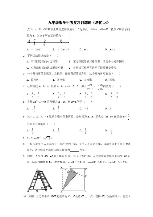 九年级数学中考复习训练题(培优14)