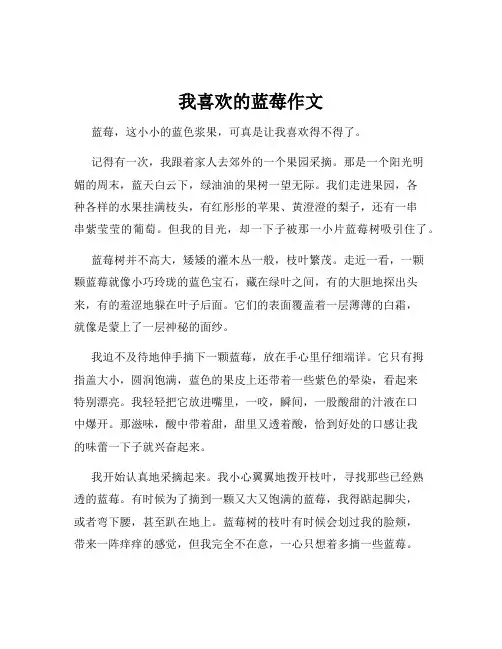 我喜欢的蓝莓作文