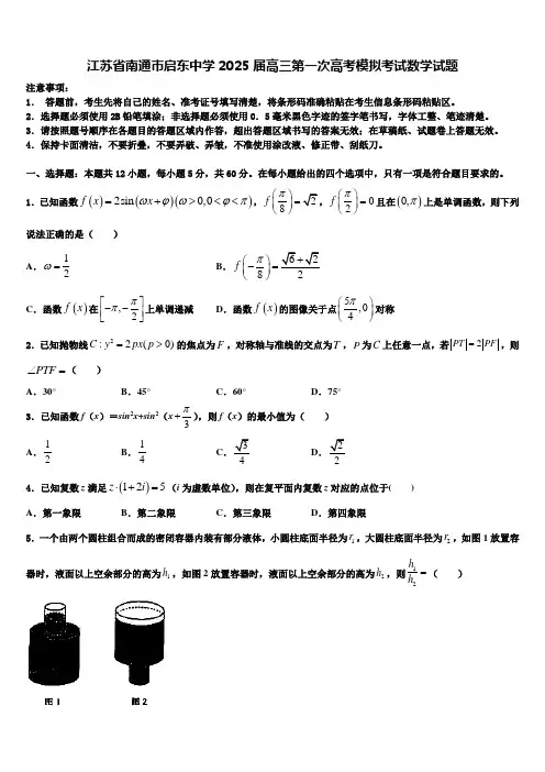 江苏省南通巿启东中学2025届高三第一次高考模拟考试数学试题