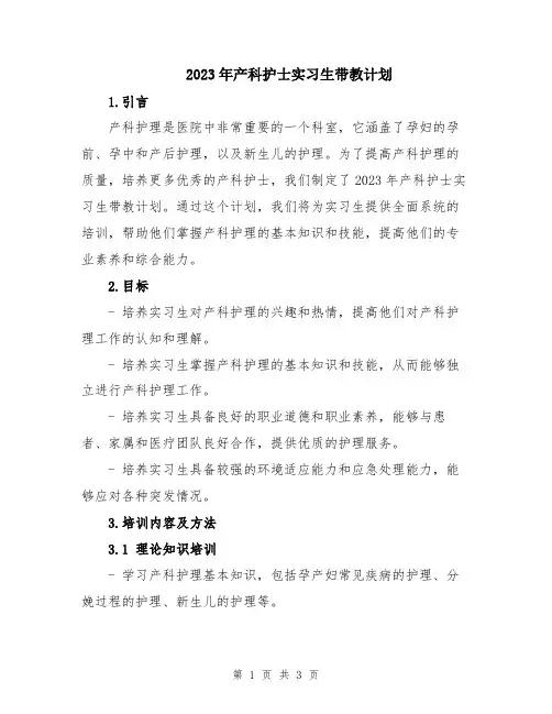 2023年产科护士实习生带教计划