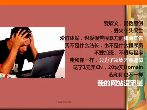 关键词的运用技巧