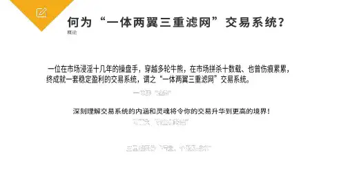 股市稳定盈利秘笈：一体两翼三重滤网交易系统