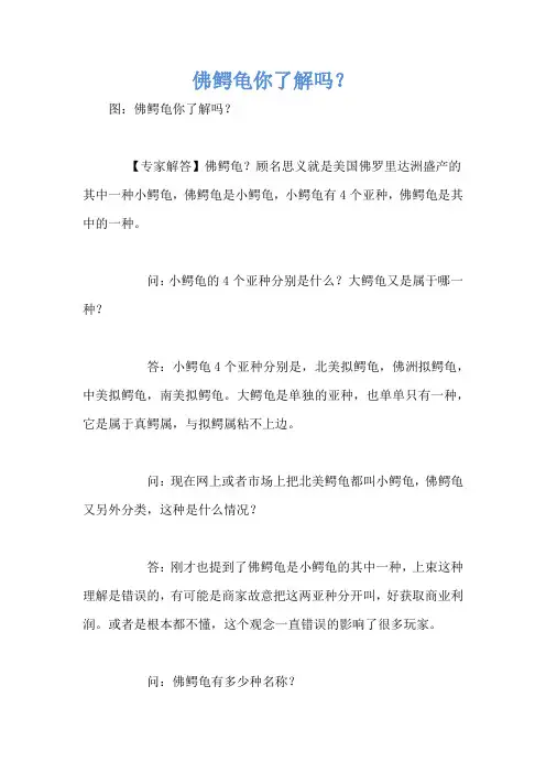 佛鳄龟你了解吗？