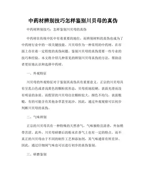 中药材辨别技巧怎样鉴别川贝母的真伪
