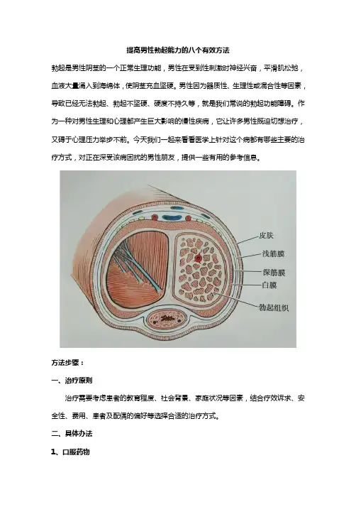 提高男性勃起能力的八个有效方法