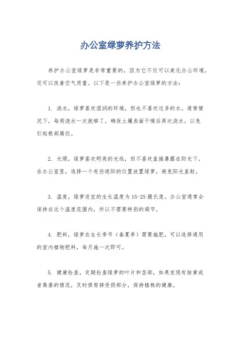 办公室绿萝养护方法