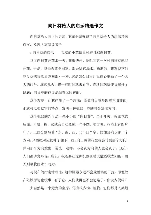 向日葵给人的启示精选作文