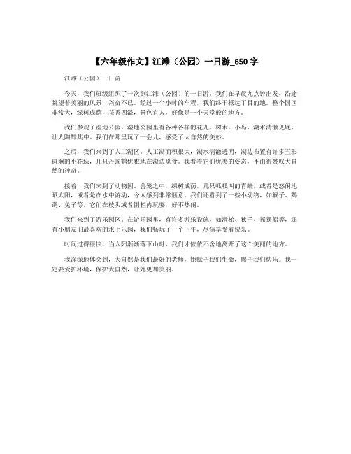 【六年级作文】江滩(公园)一日游_650字