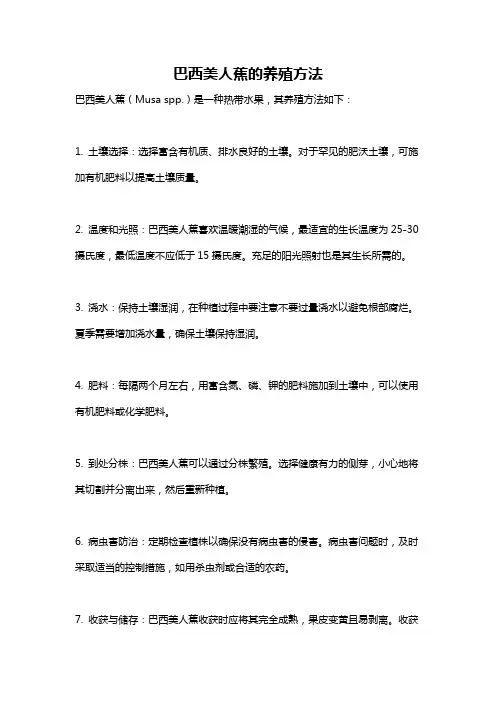 巴西美人蕉的养殖方法