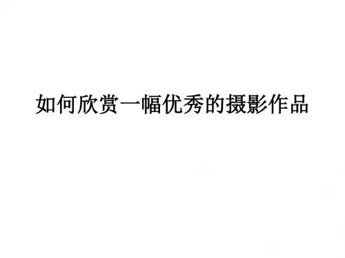 如何欣赏一幅优秀的摄影作品-摄影类解读..