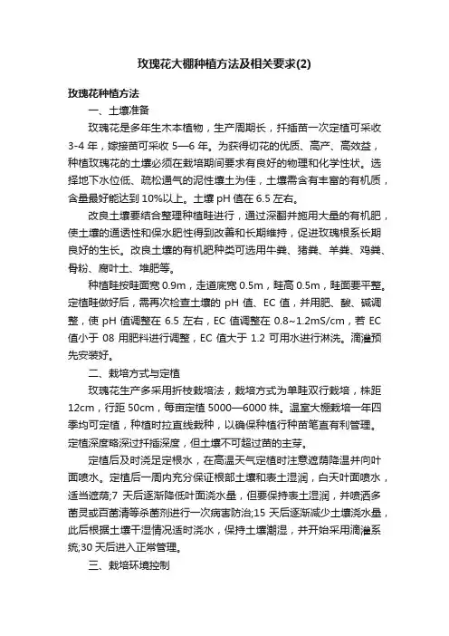 玫瑰花大棚种植方法及相关要求（2）
