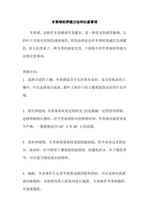 冬青球的养殖方法和注意事项