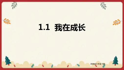 科学苏教版六年级下册  我在成长 课件