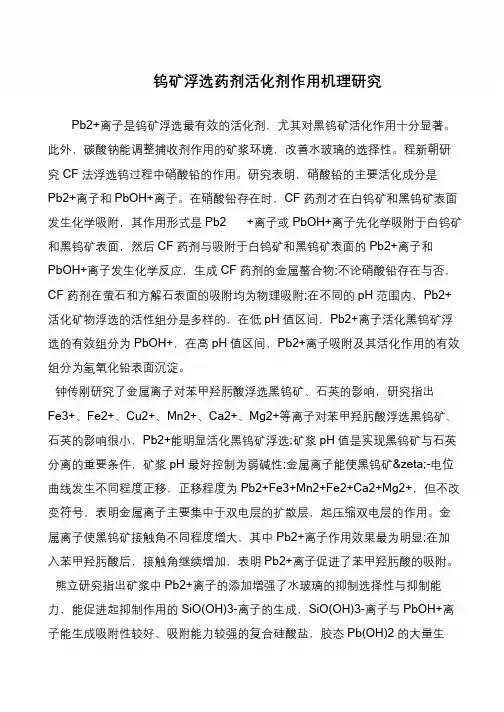 钨矿浮选药剂活化剂作用机理研究