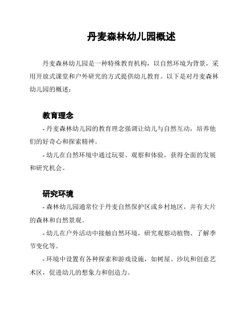 丹麦森林幼儿园概述