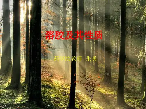 溶胶的性质 (1)