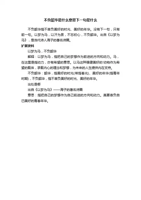 不负韶华是什么意思下一句是什么