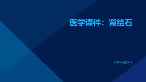 医学课件：肾结石