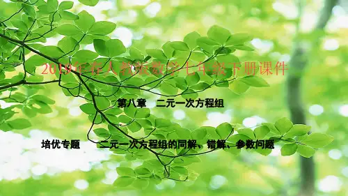 七年级数学 第八章 二元一次方程组 培优专题 二元一次方程组的同解、错解、参数问题