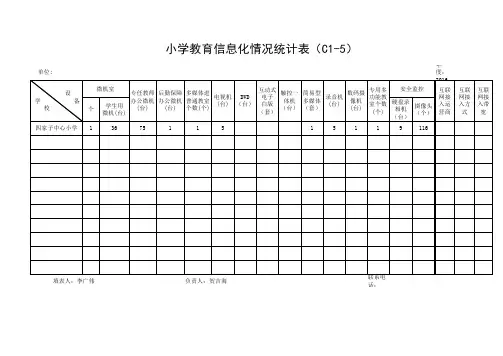 小学教育信息化统计表