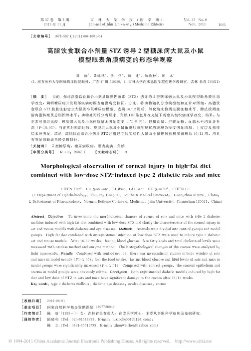 高脂饮食联合小剂量STZ诱导2型糖尿病大鼠及小鼠模型眼表角膜病变的形态学观察