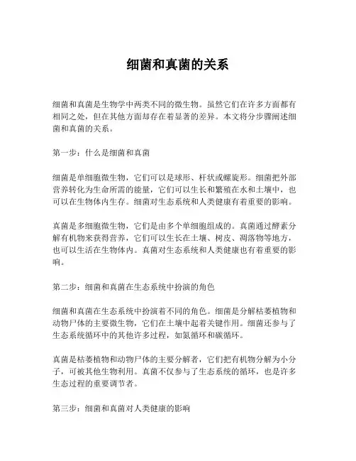 细菌和真菌的关系