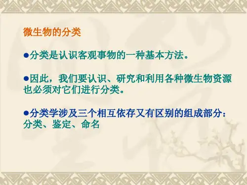 细菌的分类和命名