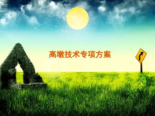 高墩专项方案ppt