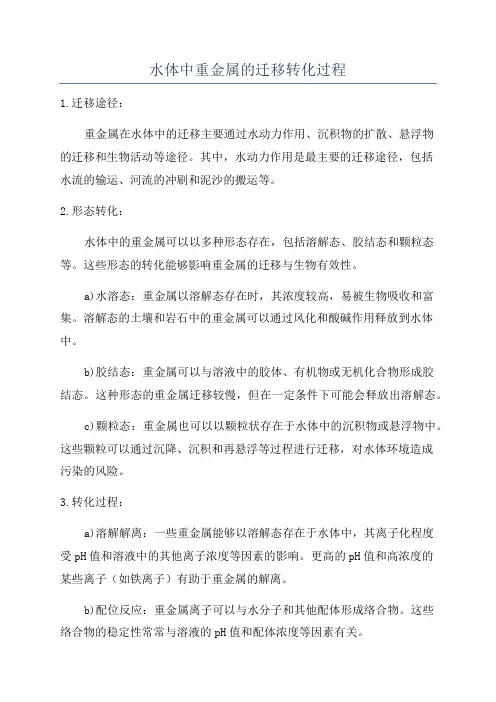 水体中重金属的迁移转化过程