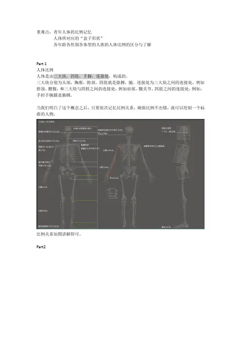 人体比例图